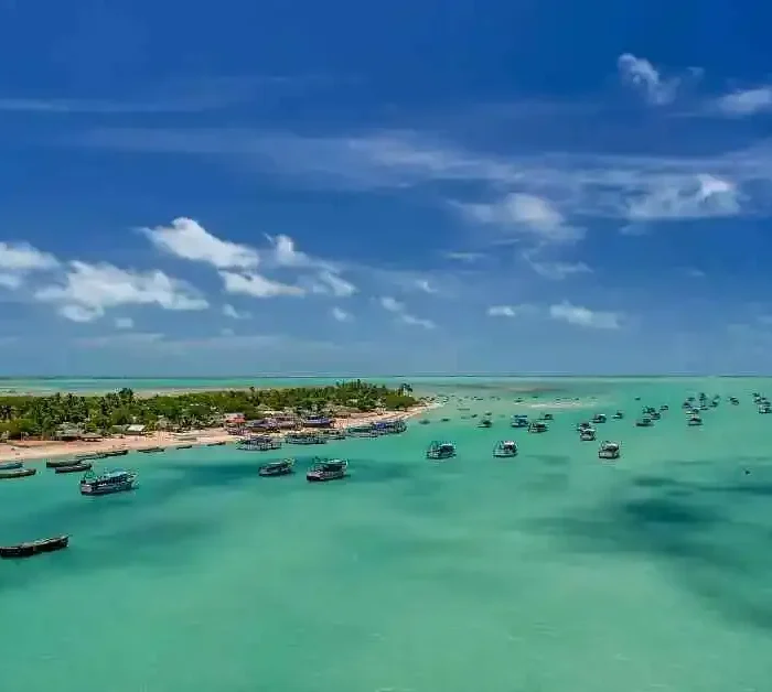 Gulf of Mannar Marine National Park Coral Islands, Seagrass & Dugong Habitat