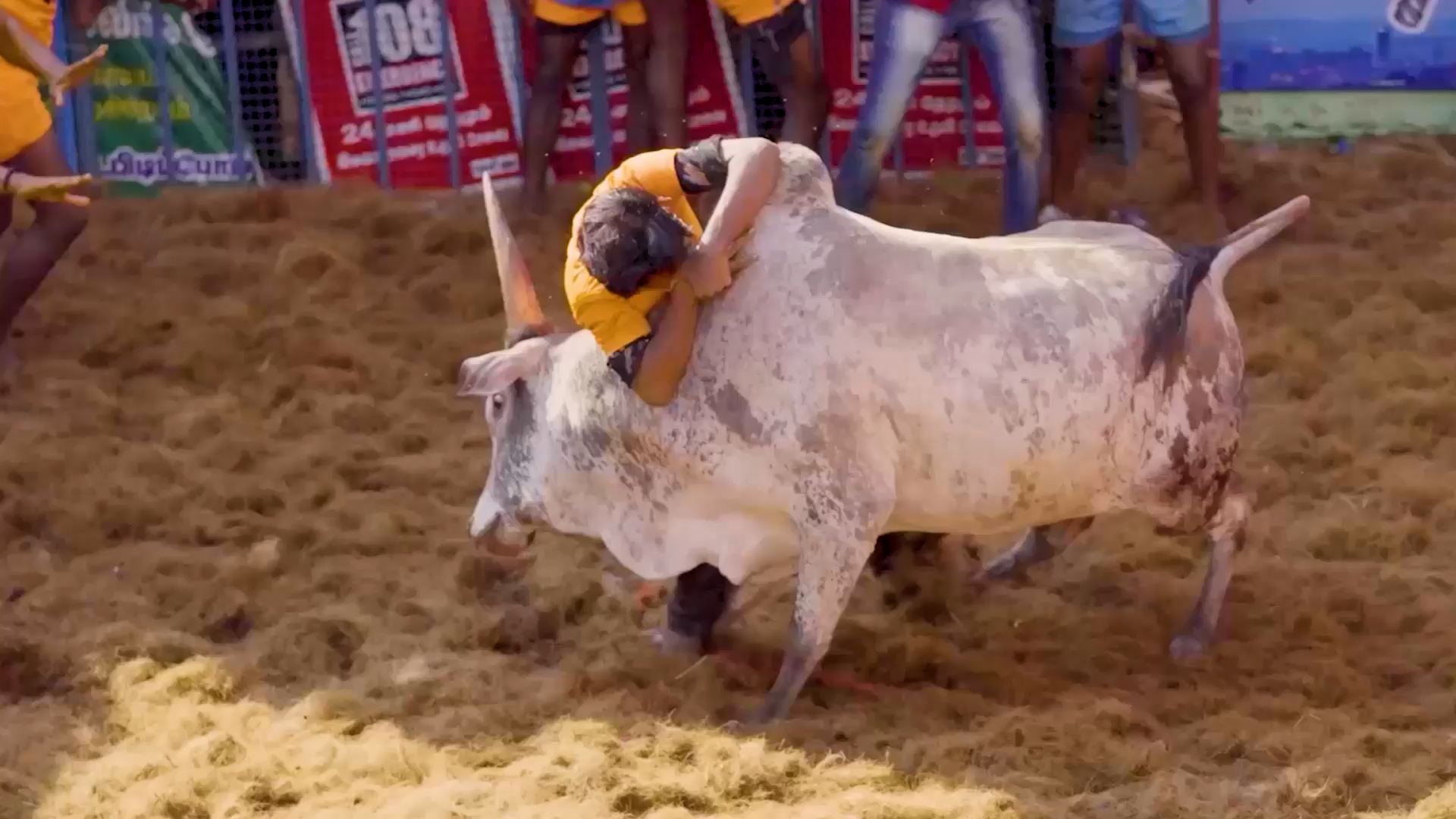 Welcome to TNEXPAT – Explore Tamil Nadu Like Never Before!